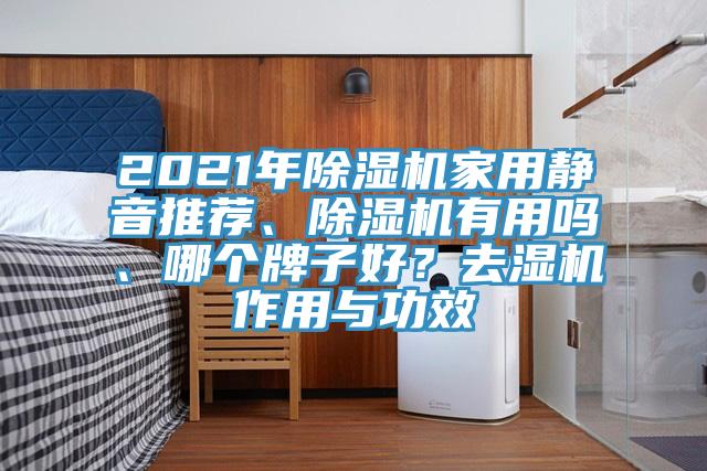 2021年除濕機(jī)家用靜音推薦、除濕機(jī)有用嗎、哪個牌子好？去濕機(jī)作用與功效