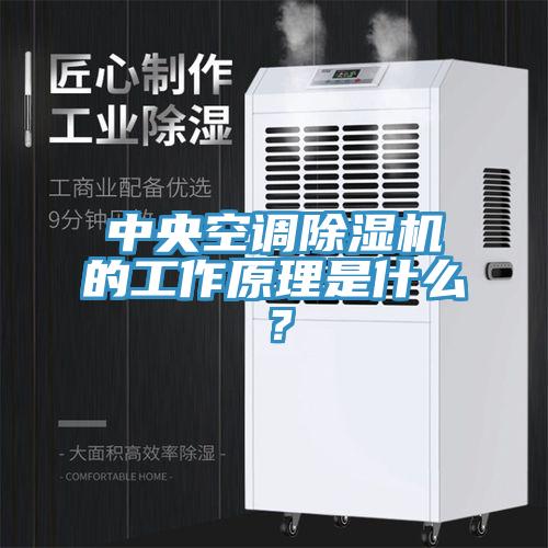 中央空調(diào)除濕機(jī)的工作原理是什么？