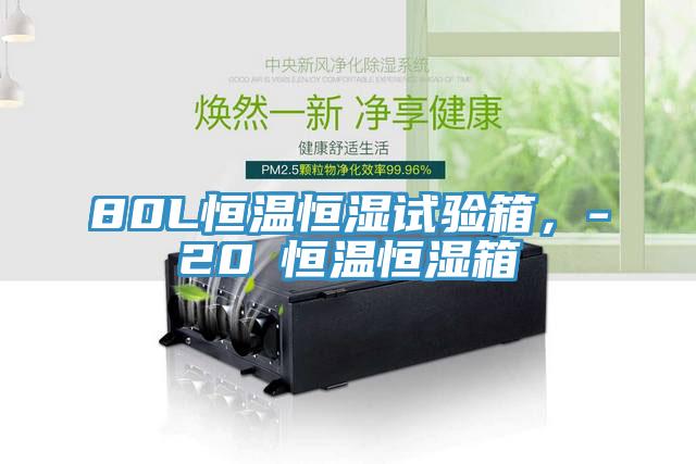 80L恒溫恒濕試驗(yàn)箱，-20℃恒溫恒濕箱