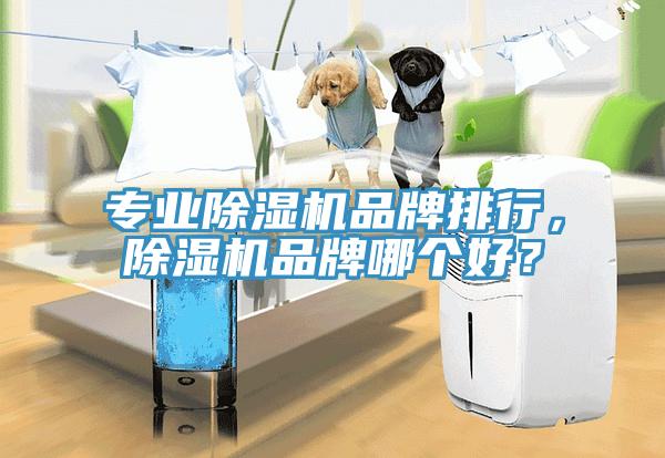 專業(yè)除濕機品牌排行，除濕機品牌哪個好？