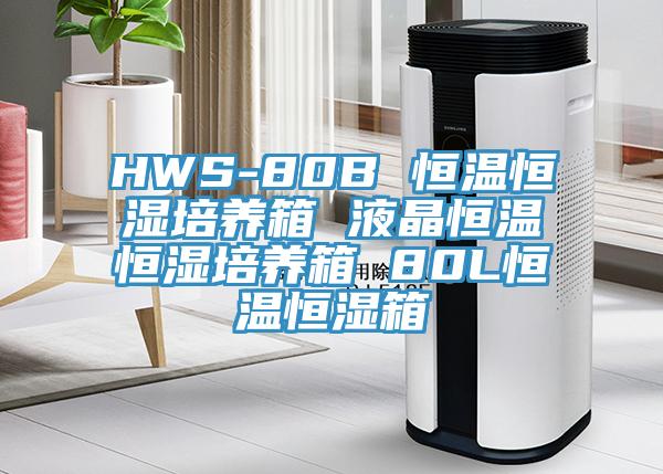 HWS-80B 恒溫恒濕培養(yǎng)箱 液晶恒溫恒濕培養(yǎng)箱 80L恒溫恒濕箱