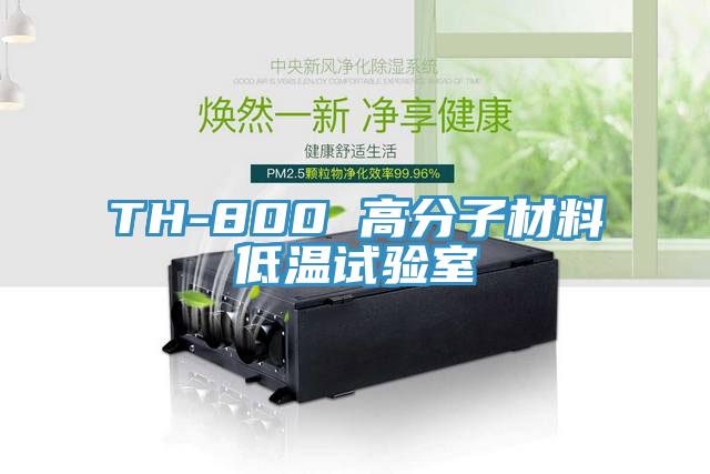 TH-800 高分子材料低溫試驗室