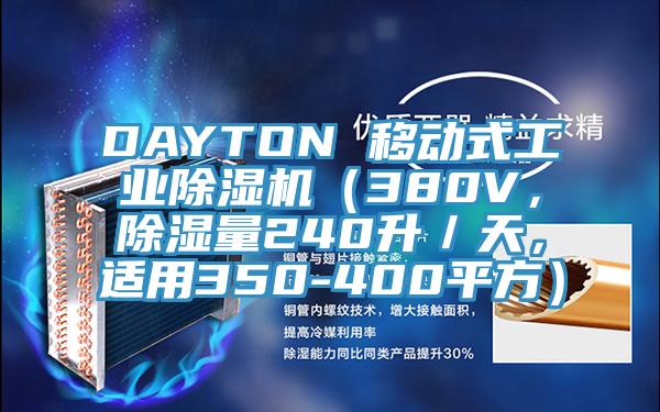 DAYTON 移動(dòng)式工業(yè)除濕機(jī)（380V，除濕量240升／天，適用350-400平方）