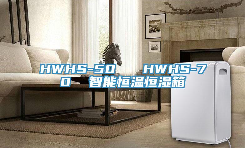 HWHS-50   HWHS-70  智能恒溫恒濕箱