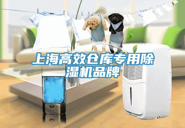 上海高效倉庫專用除濕機(jī)品牌