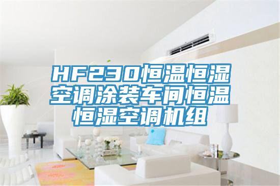 HF230恒溫恒濕空調(diào)涂裝車(chē)間恒溫恒濕空調(diào)機(jī)組