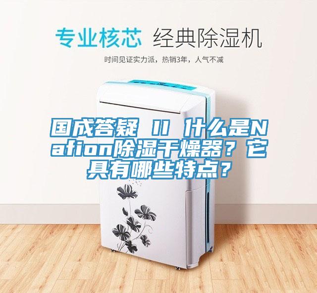 國成答疑 II 什么是Nafion除濕干燥器？它具有哪些特點？