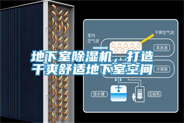 地下室除濕機，打造干爽舒適地下室空間