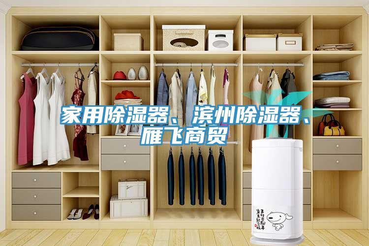 家用除濕器、濱州除濕器、雁飛商貿(mào)