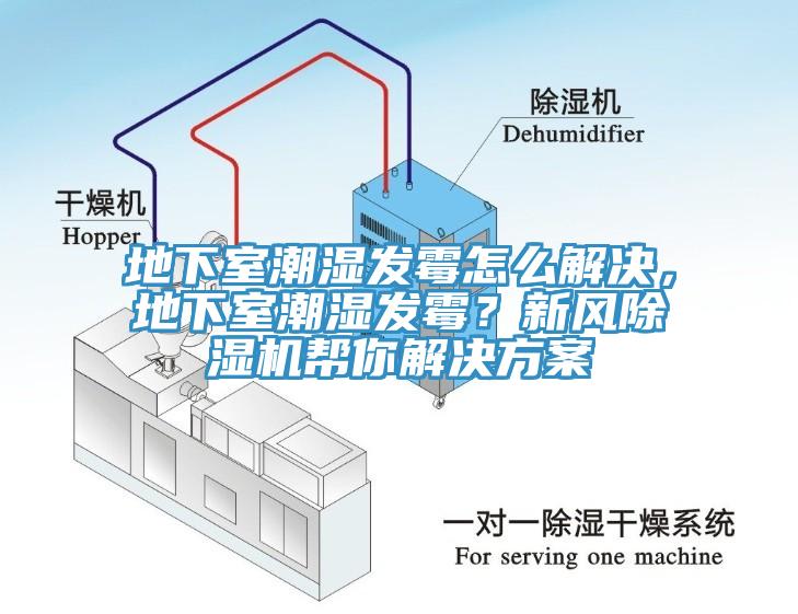 地下室潮濕發(fā)霉怎么解決，地下室潮濕發(fā)霉？新風(fēng)除濕機(jī)幫你解決方案