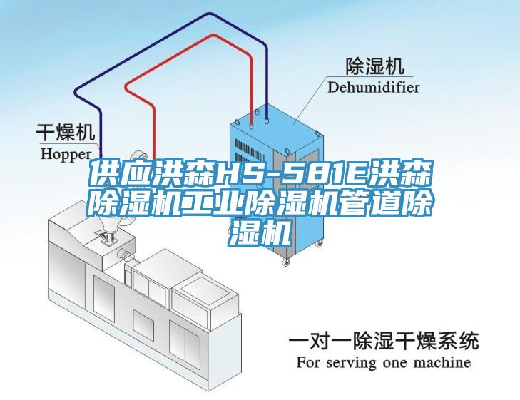 供應(yīng)洪森HS-581E洪森除濕機工業(yè)除濕機管道除濕機