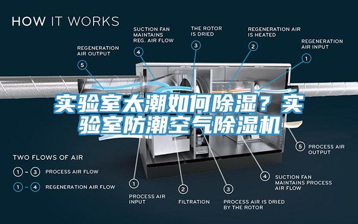 實驗室太潮如何除濕？實驗室防潮空氣除濕機