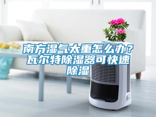 南方濕氣太重怎么辦？瓦爾特除濕器可快速除濕