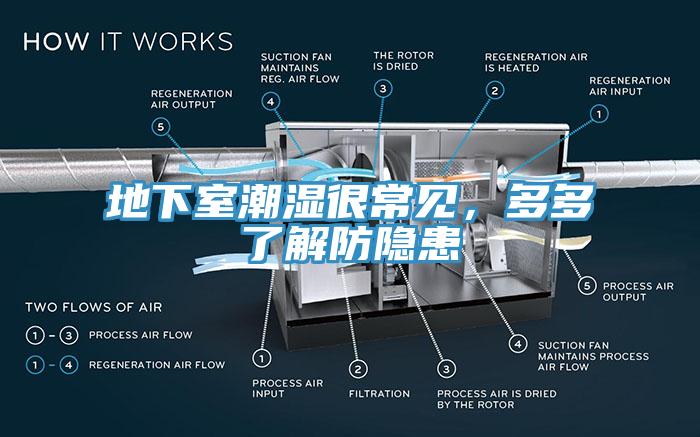 地下室潮濕很常見，多多了解防隱患