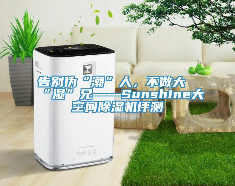 告別偽“潮”人，不做大“濕”兄——Sunshine大空間除濕機評測