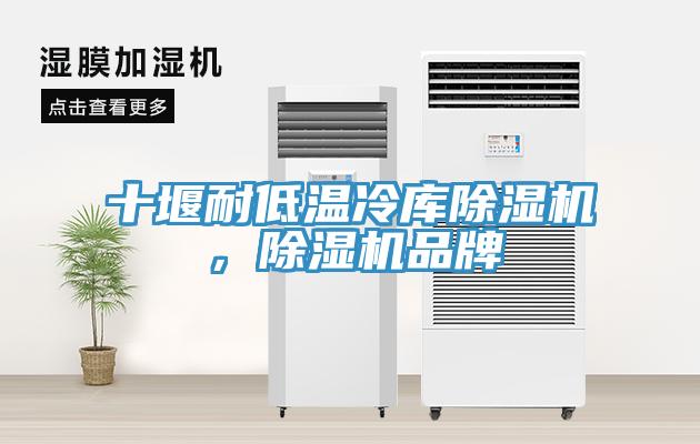 十堰耐低溫冷庫除濕機，除濕機品牌