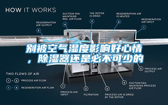 別被空氣濕度影響好心情，除濕器還是必不可少的