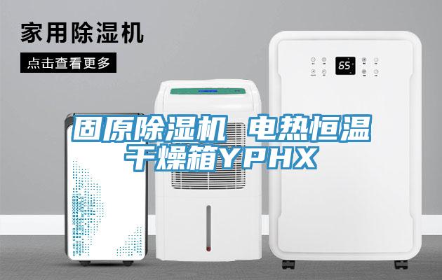 固原除濕機(jī) 電熱恒溫干燥箱YPHX