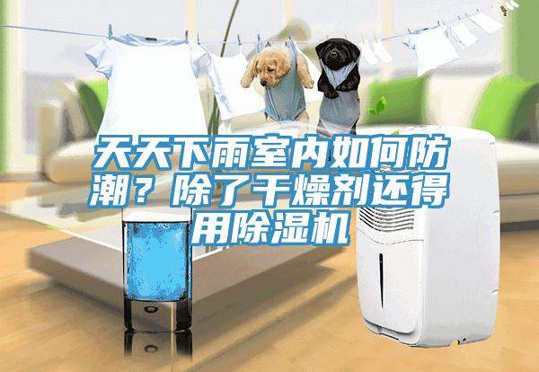 天天下雨室內(nèi)如何防潮？除了干燥劑還得用除濕機(jī)