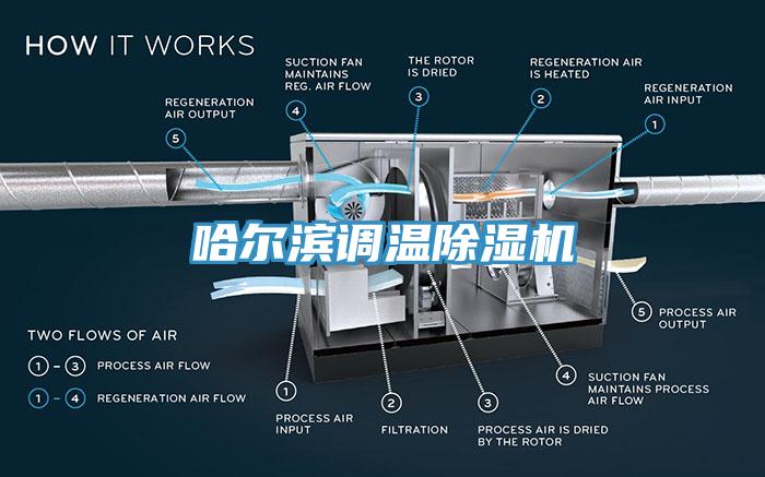 哈爾濱調(diào)溫除濕機