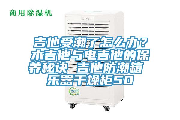 吉他受潮了怎么辦？木吉他與電吉他的保養(yǎng)秘訣 吉他防潮箱 樂器干燥柜50