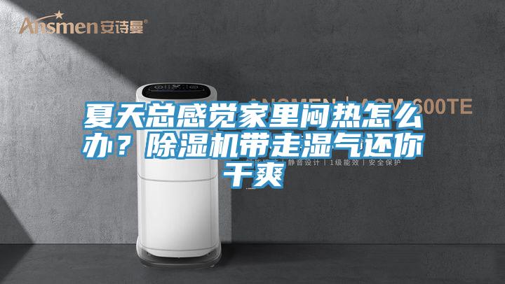 夏天總感覺家里悶熱怎么辦？除濕機帶走濕氣還你干爽