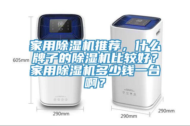 家用除濕機(jī)推薦，什么牌子的除濕機(jī)比較好？家用除濕機(jī)多少錢一臺(tái)??？