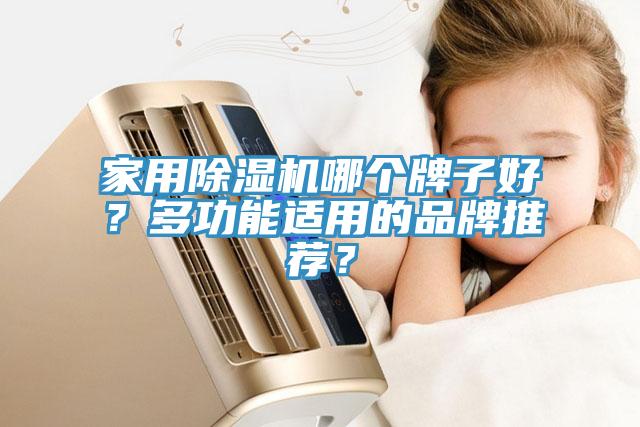 家用除濕機哪個牌子好？多功能適用的品牌推薦？