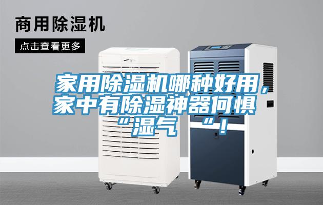 家用除濕機哪種好用，家中有除濕神器何懼 “濕氣 “！