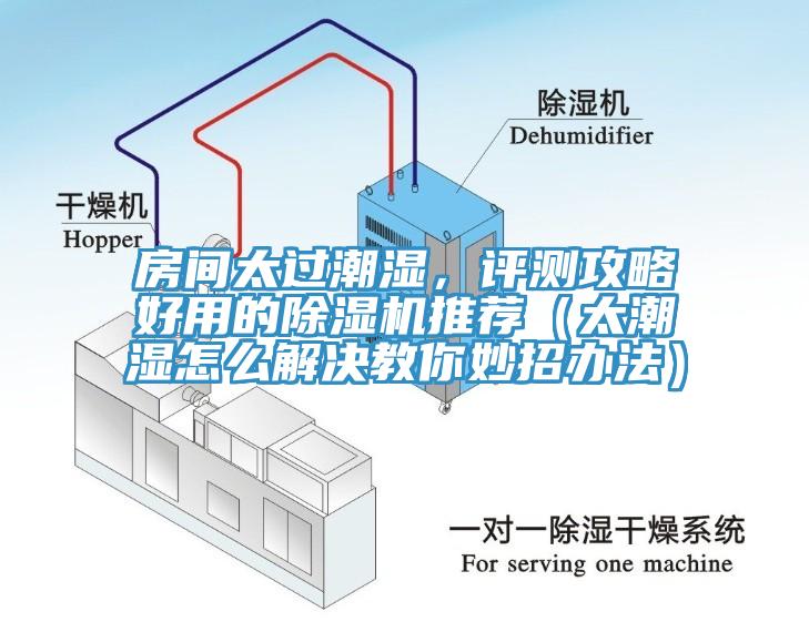 房間太過潮濕，評測攻略好用的除濕機推薦（太潮濕怎么解決教你妙招辦法）