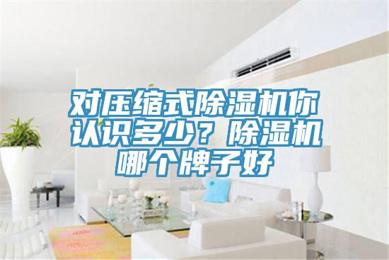 對壓縮式除濕機你認識多少？除濕機哪個牌子好