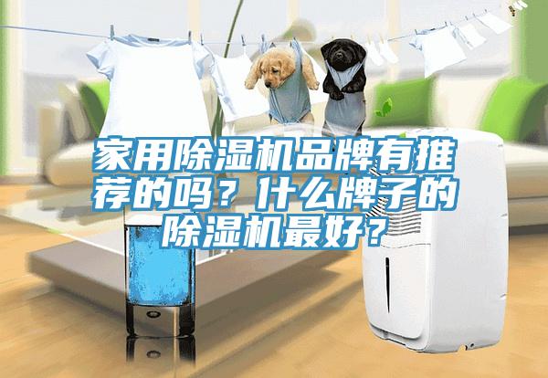 家用除濕機品牌有推薦的嗎？什么牌子的除濕機最好？