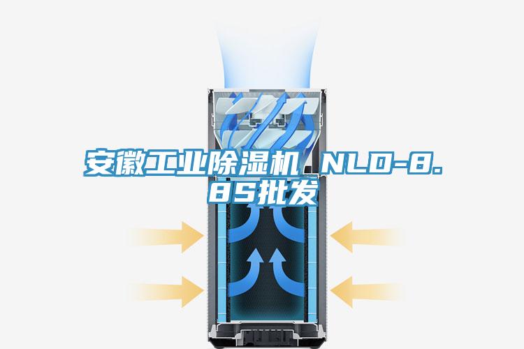 安徽工業(yè)除濕機 NLD-8.8S批發(fā)