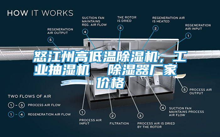 怒江州高低溫除濕機，工業(yè)抽濕機  除濕器廠家 價格