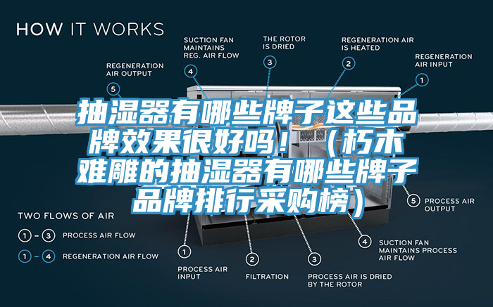 抽濕器有哪些牌子這些品牌效果很好嗎?。ㄐ嗄倦y雕的抽濕器有哪些牌子品牌排行采購榜）