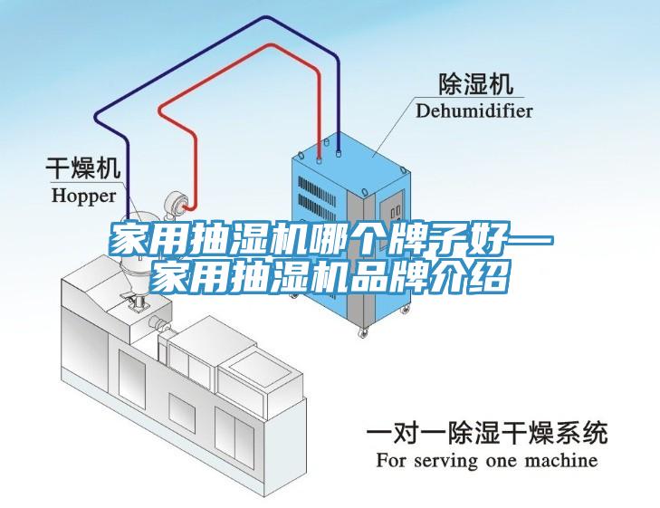 家用抽濕機(jī)哪個(gè)牌子好—家用抽濕機(jī)品牌介紹