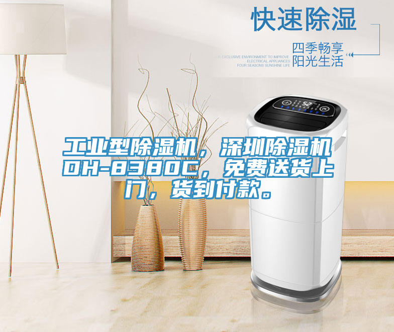 工業(yè)型除濕機(jī)，深圳除濕機(jī)DH-8380C，免費(fèi)送貨上門，貨到付款。