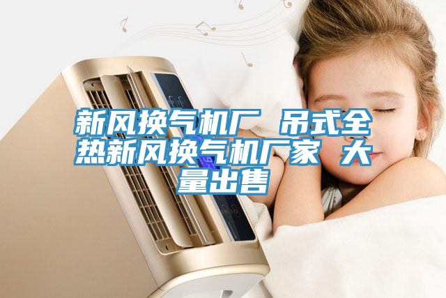 新風(fēng)換氣機廠 吊式全熱新風(fēng)換氣機廠家 大量出售