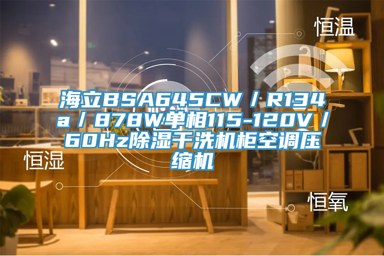 海立BSA645CW／R134a／878W單相115-120V／60Hz除濕干洗機(jī)柜空調(diào)壓縮機(jī)