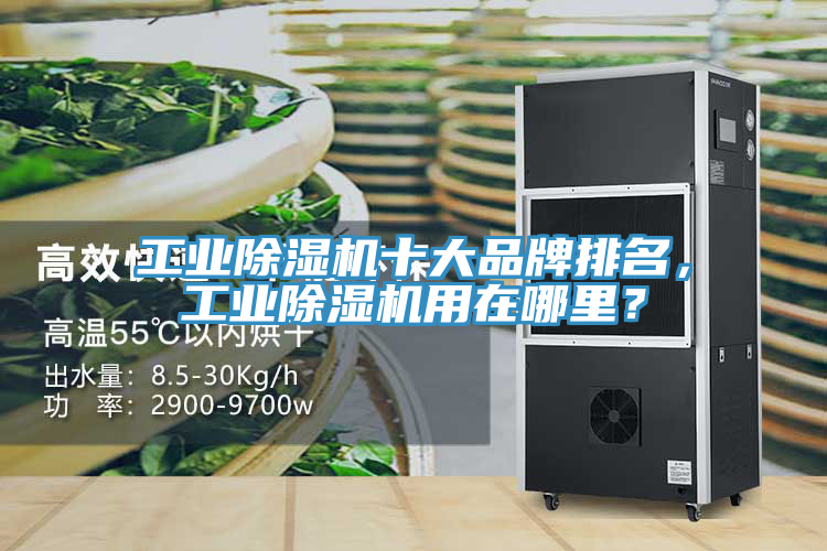 工業(yè)除濕機(jī)十大品牌排名，工業(yè)除濕機(jī)用在哪里？