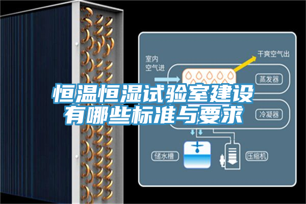 恒溫恒濕試驗(yàn)室建設(shè)有哪些標(biāo)準(zhǔn)與要求