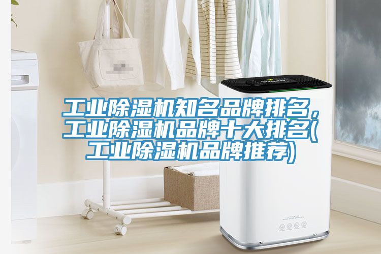 工業(yè)除濕機知名品牌排名，工業(yè)除濕機品牌十大排名(工業(yè)除濕機品牌推薦)