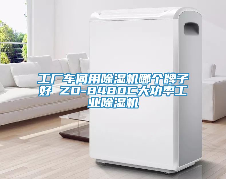 工廠車間用除濕機哪個牌子好 ZD-8480C大功率工業(yè)除濕機