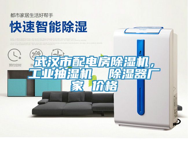 武漢市配電房除濕機，工業(yè)抽濕機  除濕器廠家 價格