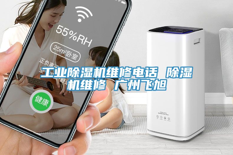 工業(yè)除濕機維修電話 除濕機維修 廣州飛旭