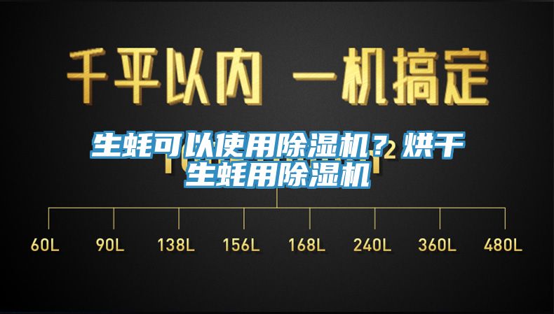 生蠔可以使用除濕機？烘干生蠔用除濕機