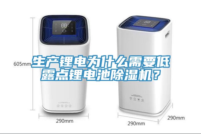 生產(chǎn)鋰電為什么需要低露點鋰電池除濕機？