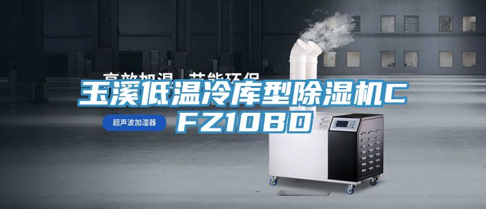 玉溪低溫冷庫(kù)型除濕機(jī)CFZ10BD