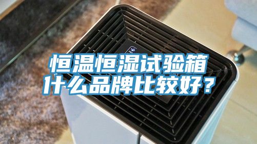 恒溫恒濕試驗(yàn)箱什么品牌比較好？