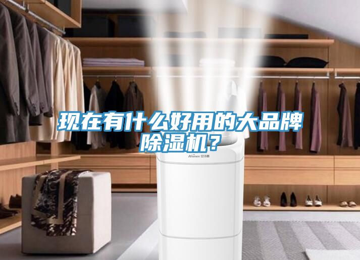 現(xiàn)在有什么好用的大品牌除濕機(jī)？